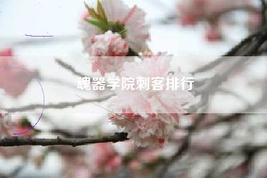 魂器学院刺客排行