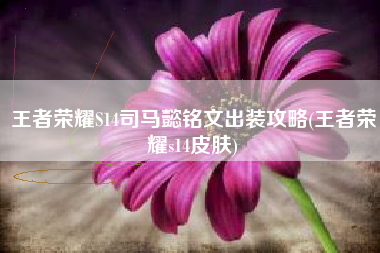 王者荣耀S14司马懿铭文出装攻略(王者荣耀s14皮肤)