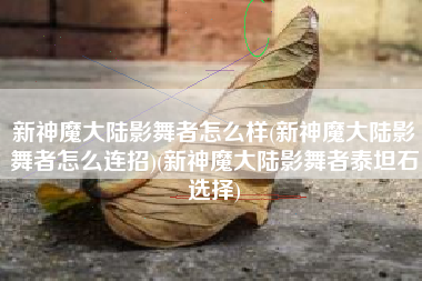 新神魔大陆影舞者怎么样(新神魔大陆影舞者怎么连招)(新神魔大陆影舞者泰坦石选择)