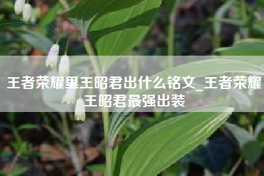 王者荣耀里王昭君出什么铭文_王者荣耀王昭君最强出装