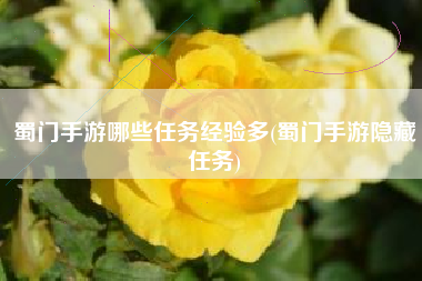 蜀门手游哪些任务经验多(蜀门手游隐藏任务)