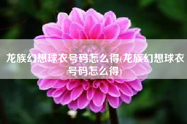 龙族幻想球衣号码怎么得(龙族幻想球衣号码怎么得)