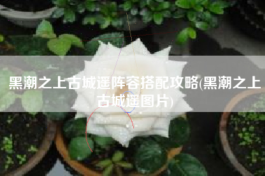 黑潮之上古城遥阵容搭配攻略(黑潮之上古城遥图片)
