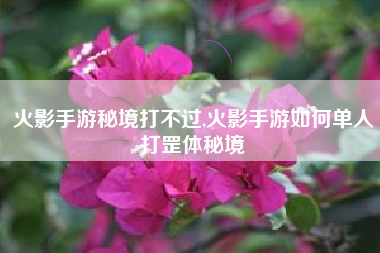 火影手游秘境打不过,火影手游如何单人打罡体秘境