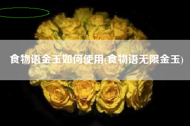 食物语金玉如何使用(食物语无限金玉)