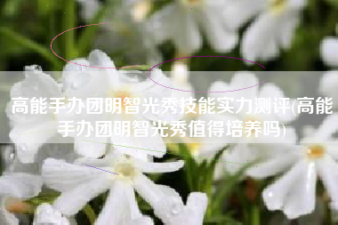 高能手办团明智光秀技能实力测评(高能手办团明智光秀值得培养吗)