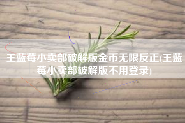 王蓝莓小卖部破解版金币无限反正(王蓝莓小卖部破解版不用登录)