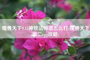 魔兽天下9.15神牧法师塔怎么打(魔兽天下第二rpg攻略)