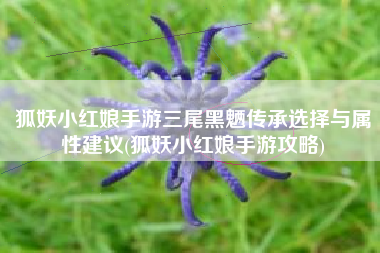 狐妖小红娘手游三尾黑魉传承选择与属性建议(狐妖小红娘手游攻略)
