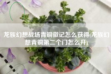 龙族幻想战场青铜徽记怎么获得(龙族幻想青铜第二个门怎么开)