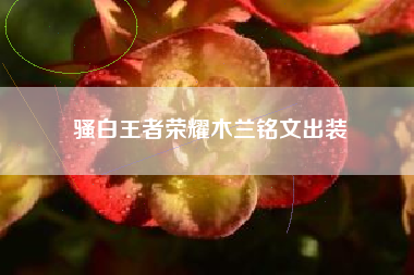 骚白王者荣耀木兰铭文出装
