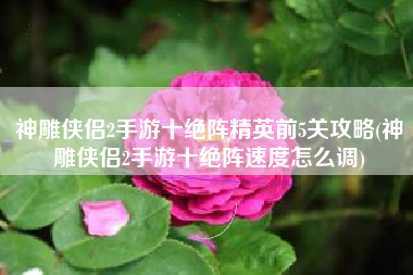 神雕侠侣2手游十绝阵精英前5关攻略(神雕侠侣2手游十绝阵速度怎么调)