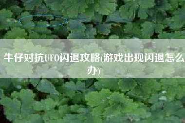 牛仔对抗UFO闪退攻略(游戏出现闪退怎么办)