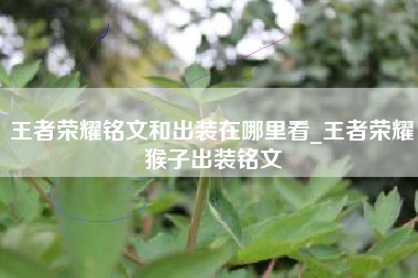 王者荣耀铭文和出装在哪里看_王者荣耀猴子出装铭文