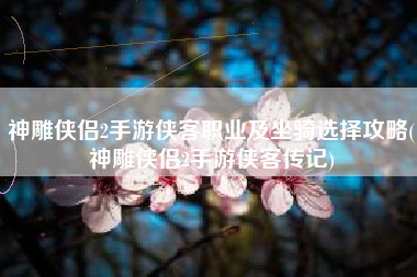 神雕侠侣2手游侠客职业及坐骑选择攻略(神雕侠侣2手游侠客传记)