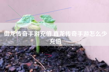 御龙传奇手游充值,真龙传奇手游怎么少充值