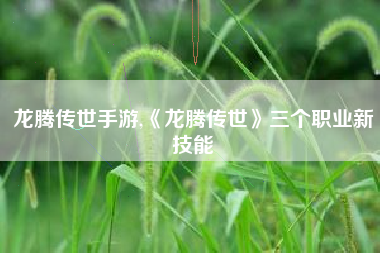 龙腾传世手游,《龙腾传世》三个职业新技能