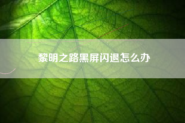 黎明之路黑屏闪退怎么办