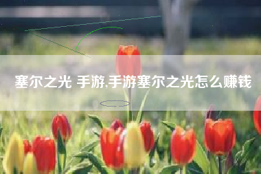 塞尔之光 手游,手游塞尔之光怎么赚钱