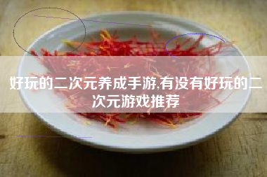 好玩的二次元养成手游,有没有好玩的二次元游戏推荐
