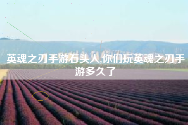英魂之刃手游石头人,你们玩英魂之刃手游多久了