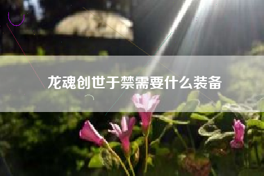 龙魂创世于禁需要什么装备