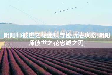 阴阳师彼世之花迷蝶寻迹玩法攻略(阴阳师彼世之花忠诚之刃)