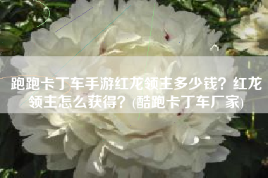 跑跑卡丁车手游红龙领主多少钱？红龙领主怎么获得？(酷跑卡丁车厂家)