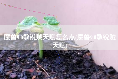 魔兽9.0敏锐贼天赋怎么点(魔兽9.0敏锐贼天赋)
