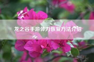 龙之谷手游体力恢复方法介绍