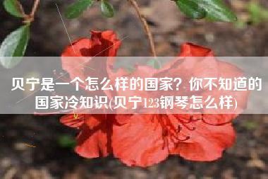 贝宁是一个怎么样的国家？你不知道的国家冷知识(贝宁123钢琴怎么样)