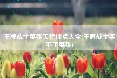 王牌战士英雄天赋加点大全(王牌战士买不了英雄)