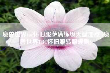 魔兽世界tbc怀旧服萨满练级天赋加点 (魔兽世界TBC怀旧服转服规则)