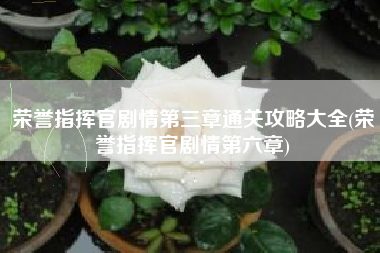 荣誉指挥官剧情第三章通关攻略大全(荣誉指挥官剧情第六章)