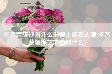 王者荣耀沙舟什么时候上线正式服(王者荣耀综艺节目叫什么)