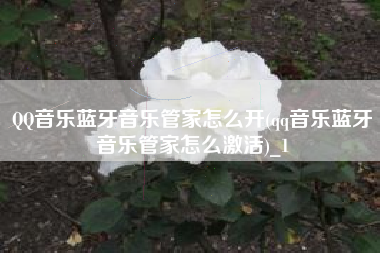 QQ音乐蓝牙音乐管家怎么开(qq音乐蓝牙音乐管家怎么激活)_1