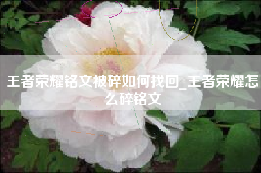 王者荣耀铭文被碎如何找回_王者荣耀怎么碎铭文