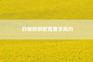 白领厨娘配置要求高吗
