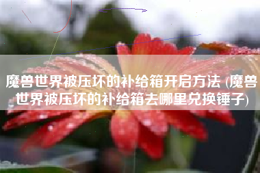 魔兽世界被压坏的补给箱开启方法 (魔兽世界被压坏的补给箱去哪里兑换锤子)