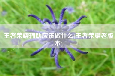 王者荣耀辅助应该做什么(王者荣耀老版本)