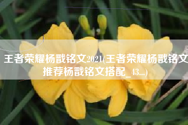 王者荣耀杨戬铭文2021(王者荣耀杨戬铭文推荐杨戬铭文搭配_43...)
