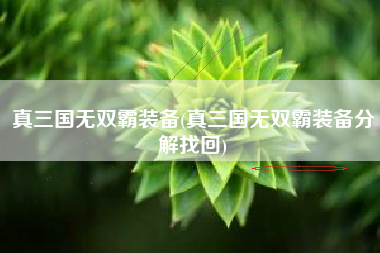 真三国无双霸装备(真三国无双霸装备分解找回)