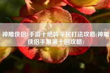 神雕侠侣2手游十绝阵平民打法攻略(神雕侠侣手游第十回攻略)
