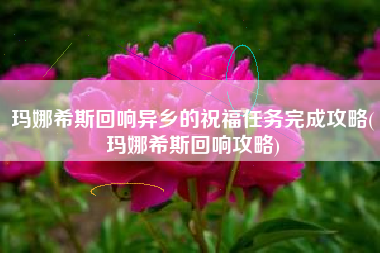 玛娜希斯回响异乡的祝福任务完成攻略(玛娜希斯回响攻略)