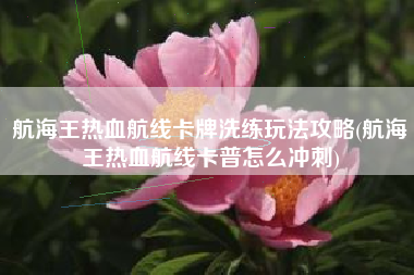 航海王热血航线卡牌洗练玩法攻略(航海王热血航线卡普怎么冲刺)