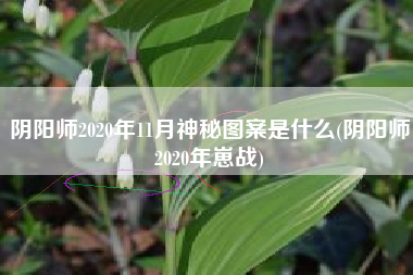 阴阳师2020年11月神秘图案是什么(阴阳师2020年崽战)