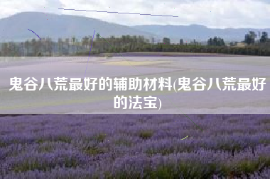 鬼谷八荒最好的辅助材料(鬼谷八荒最好的法宝)