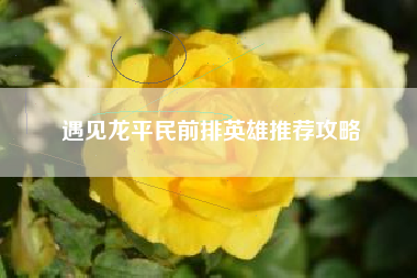 遇见龙平民前排英雄推荐攻略