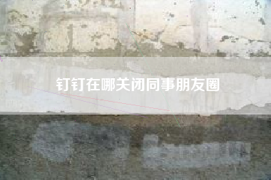 钉钉在哪关闭同事朋友圈