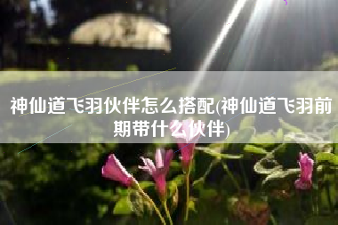神仙道飞羽伙伴怎么搭配(神仙道飞羽前期带什么伙伴)